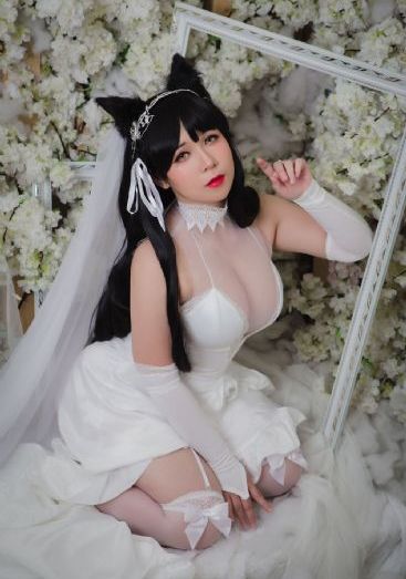 假面骑士极狐在线观看完整版_BD英语在线观看电视